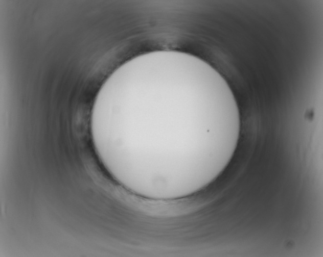 X0000116290030200912211850