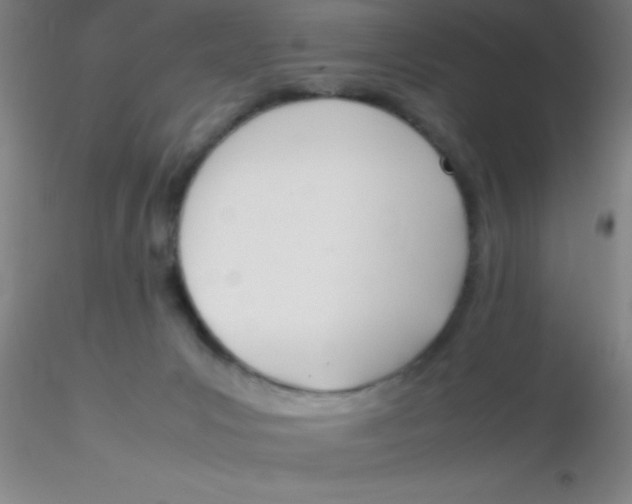 X0000116290031200912211850