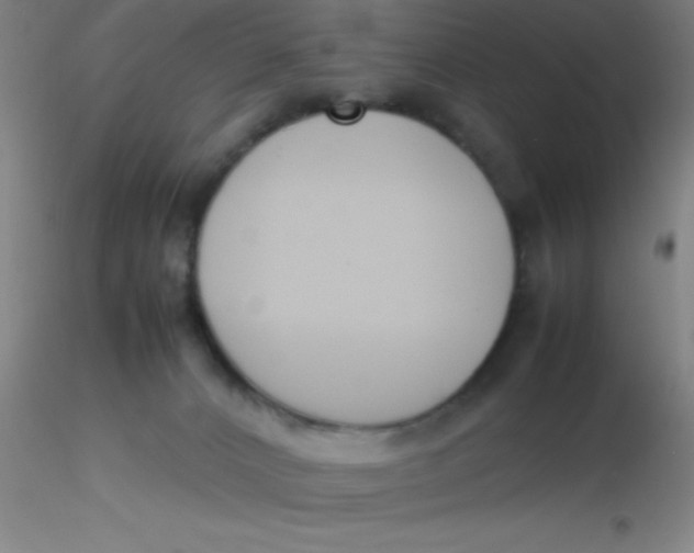 X0000116290032200912211850