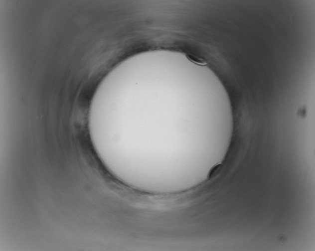 X0000116290033200912211850