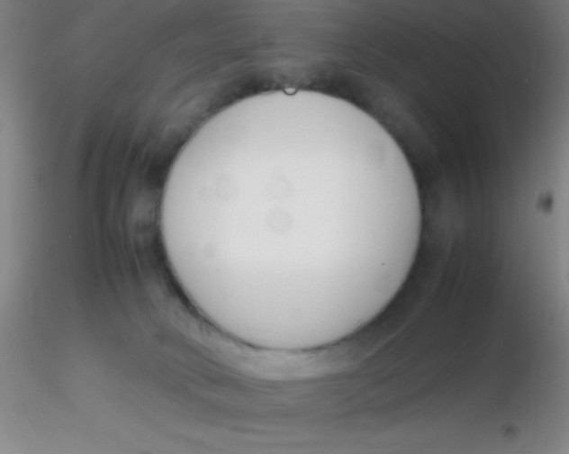 X0000116290034200912211850