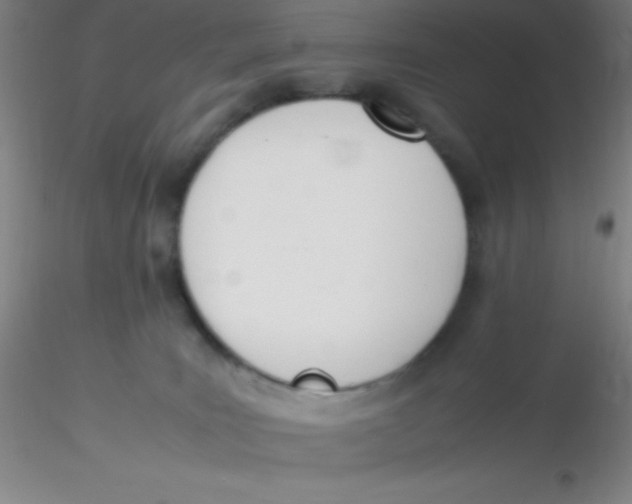 X0000116290035200912211850