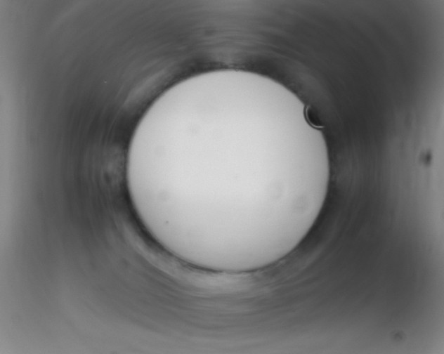 X0000116290036200912211850