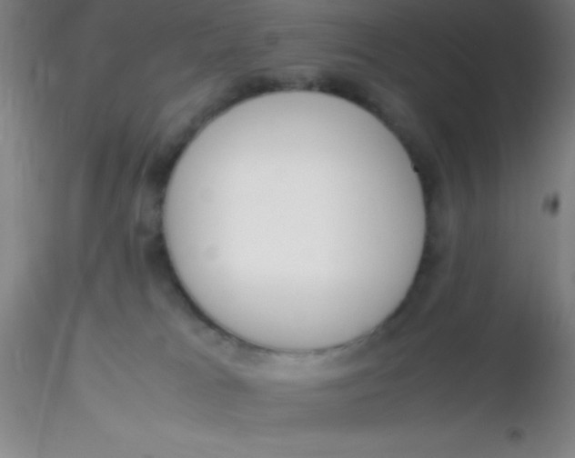 X0000116290037200912211850