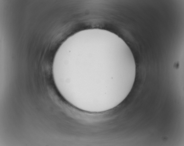 X0000116290039200912211850