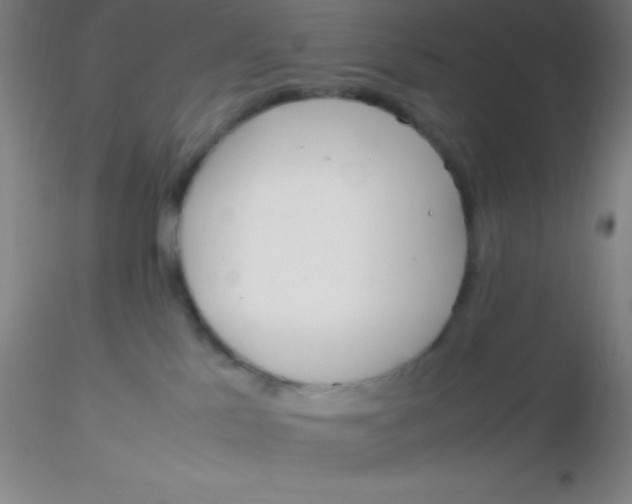 X0000116290041200912211850