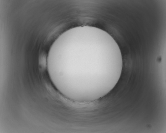 X0000116290042200912211850