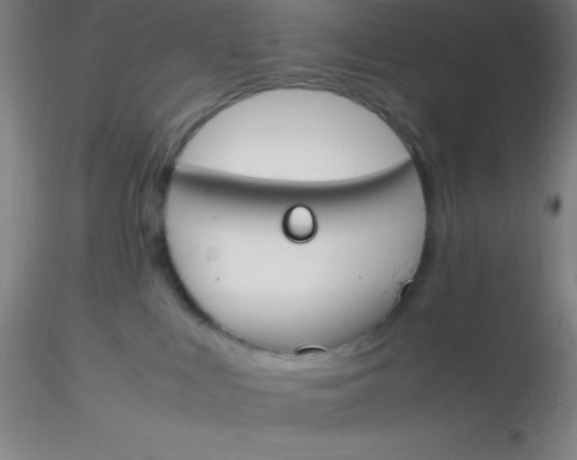 X0000116290043200912211850