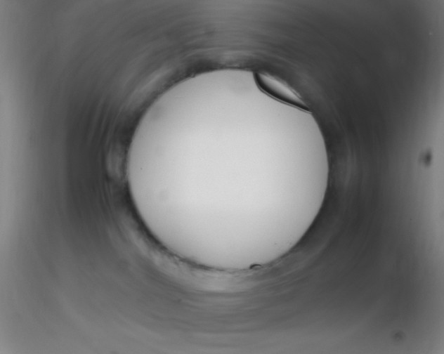 X0000116290044200912211850