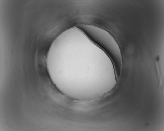 X0000116290045200912211850