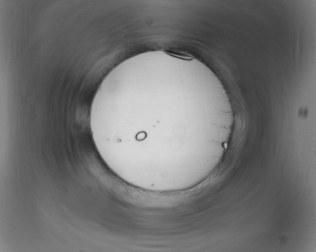 X0000116290048200912211849