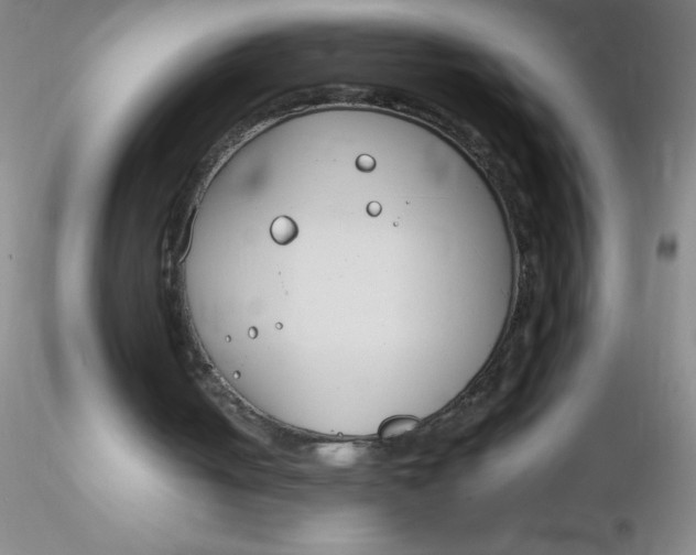 X0000116290050200912211849