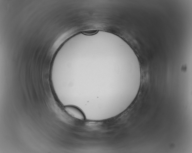 X0000116290051200912211849