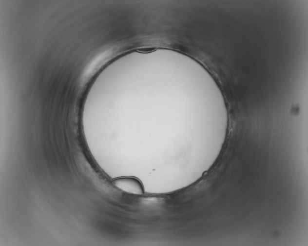 X0000116290053200912211849