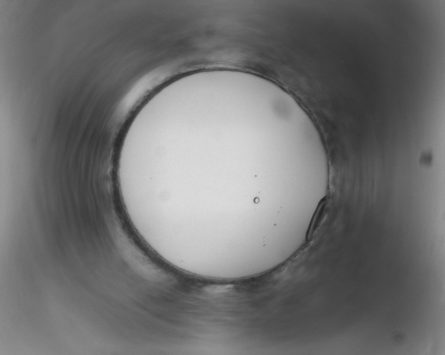 X0000116290054200912211849