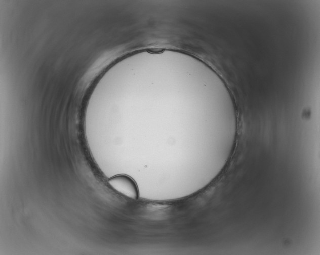 X0000116290055200912211849