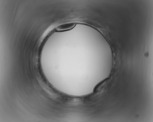 X0000116290056200912211849