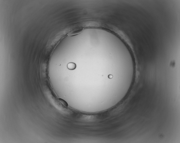 X0000116290057200912211849