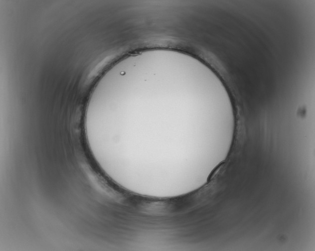 X0000116290058200912211849