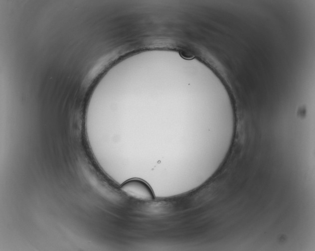 X0000116290059200912211849