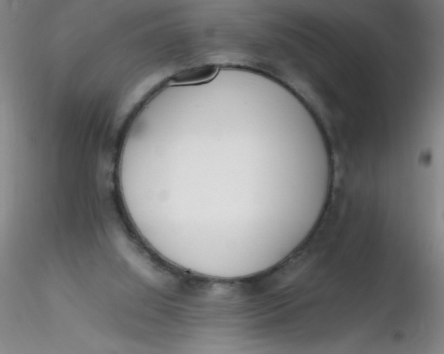 X0000116290060200912211849