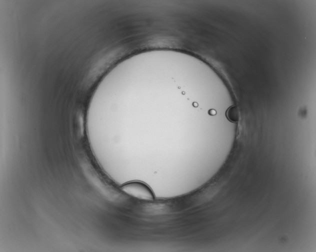 X0000116290061200912211849