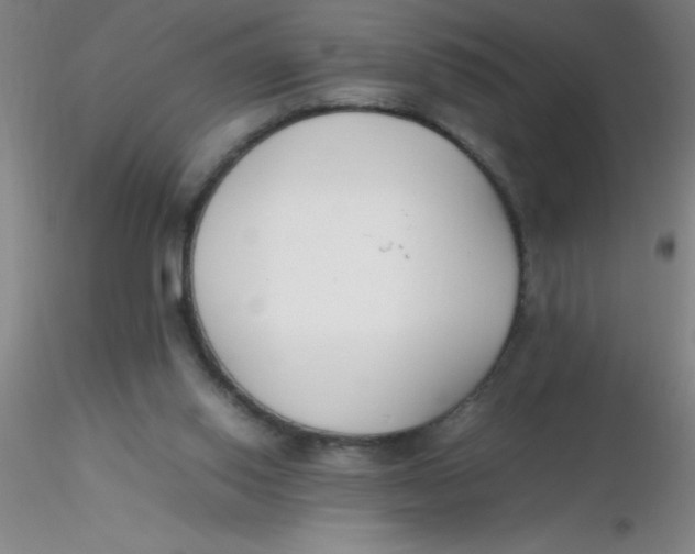 X0000116290062200912211849