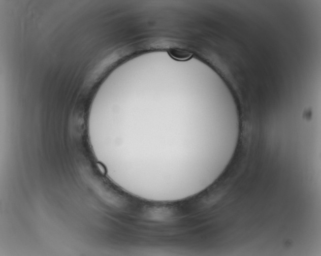 X0000116290063200912211849