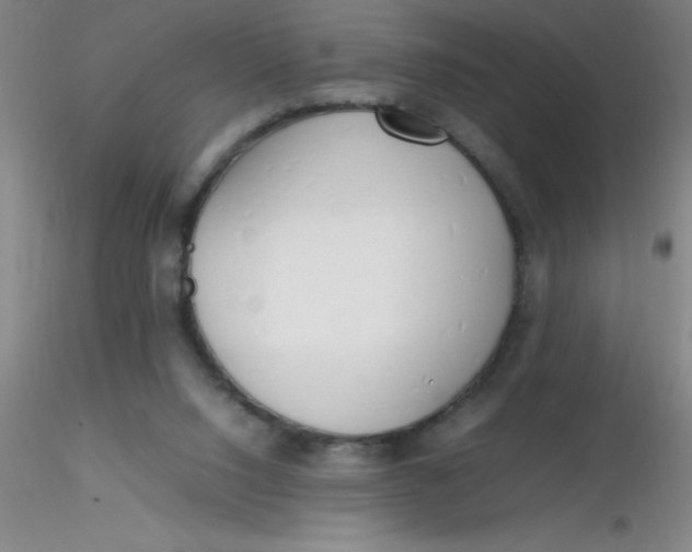 X0000116290064200912211849