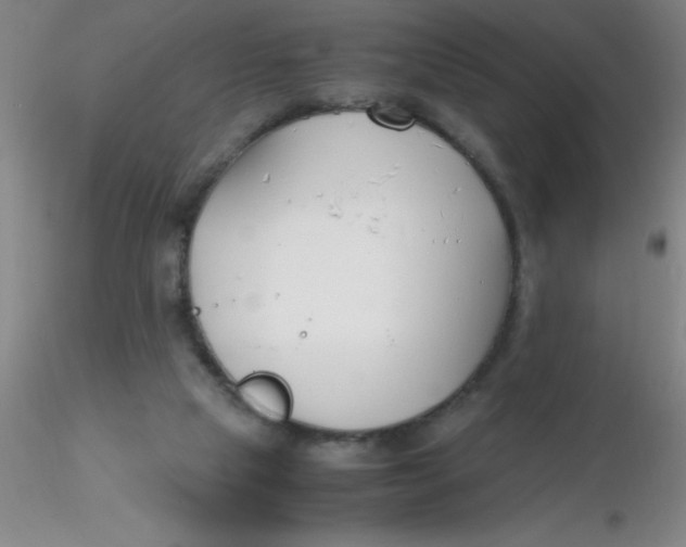 X0000116290065200912211849