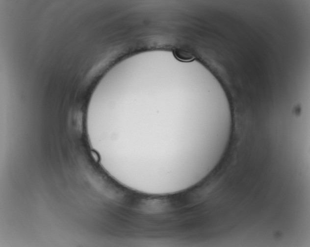 X0000116290067200912211849