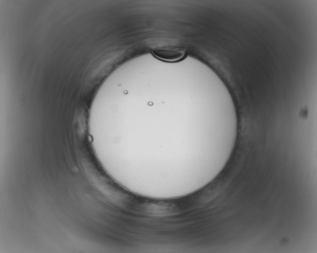 X0000116290069200912211849