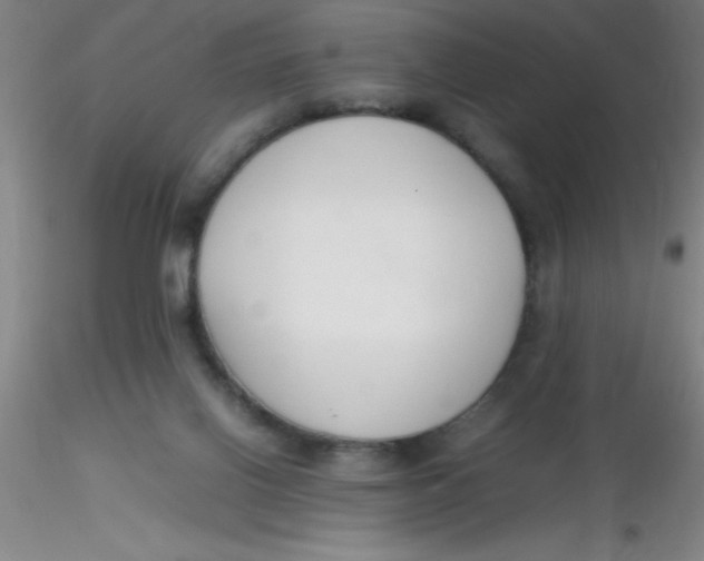 X0000116290070200912211849