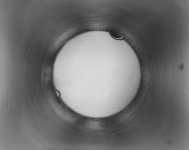 X0000116290071200912211849