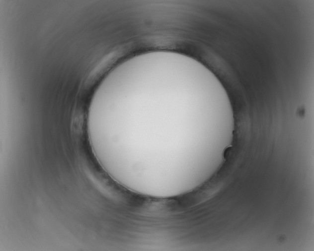 X0000116290072200912211849