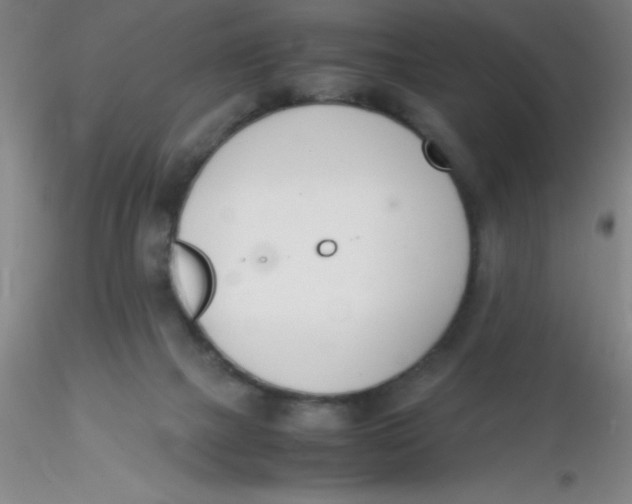 X0000116290073200912211849