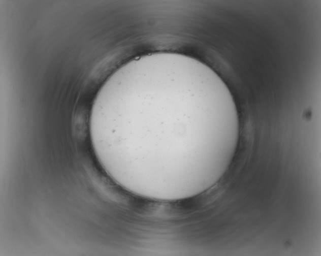 X0000116290074200912211849