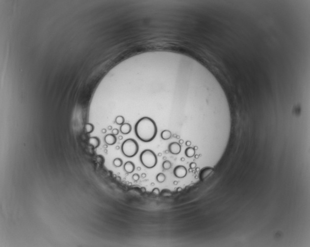 X0000116290075200912211849