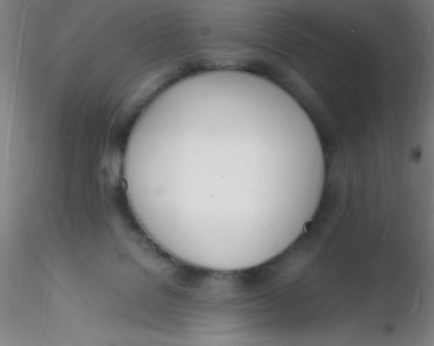 X0000116290076200912211849