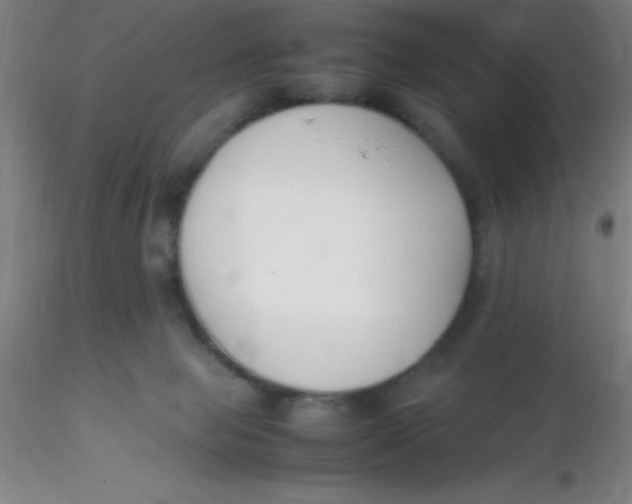 X0000116290077200912211849