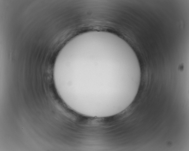 X0000116290078200912211849