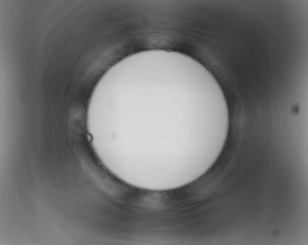 X0000116290079200912211849