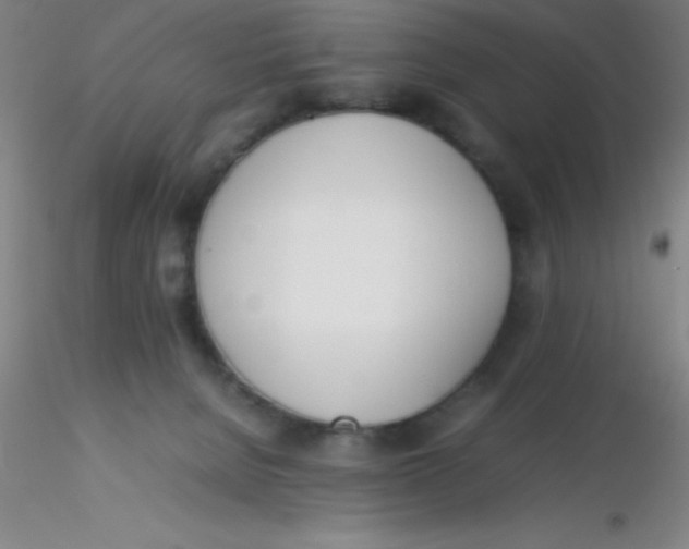 X0000116290080200912211849