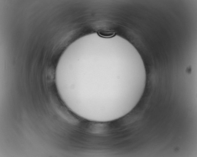 X0000116290081200912211849