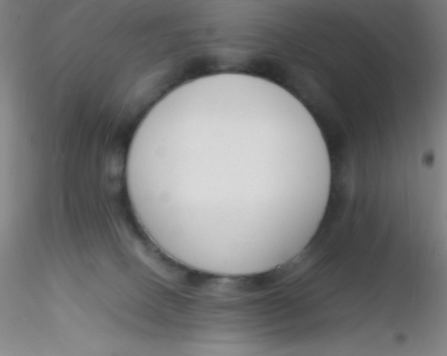 X0000116290082200912211849