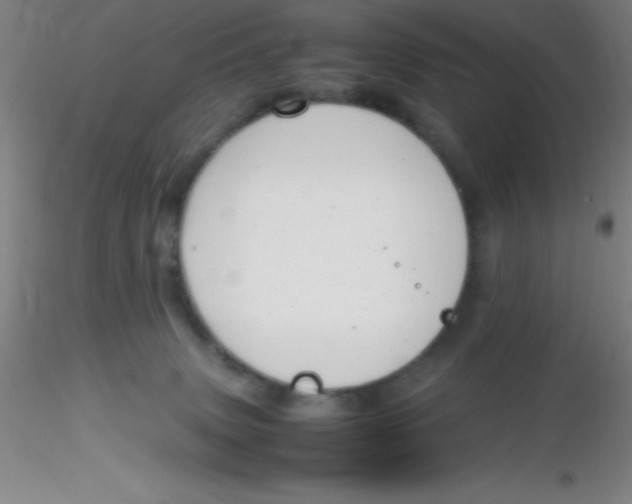 X0000116290083200912211849