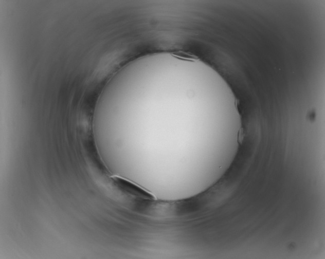 X0000116290084200912211849