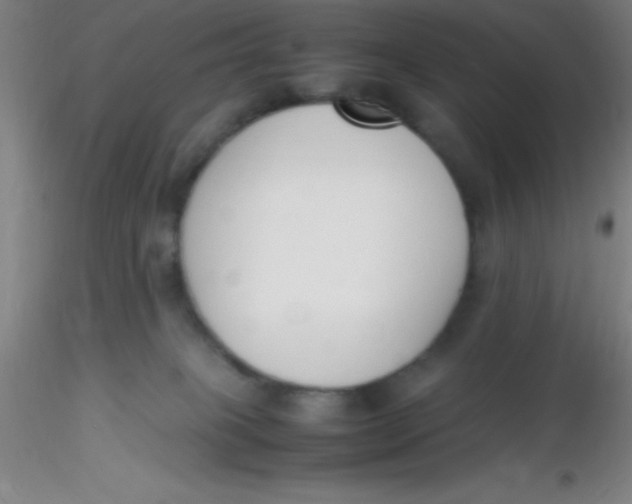 X0000116290085200912211849