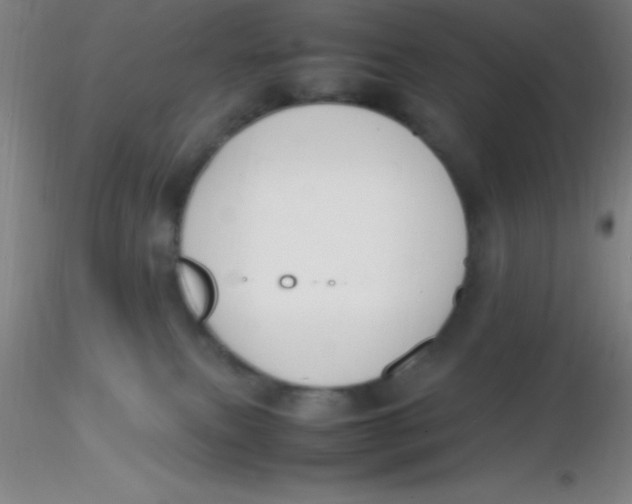 X0000116290087200912211849