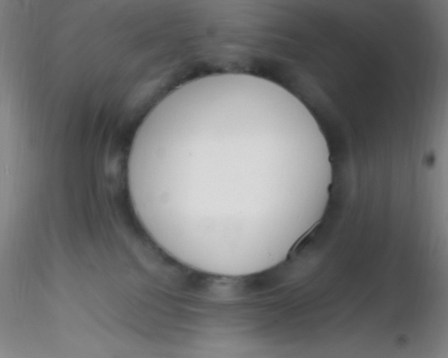 X0000116290088200912211849